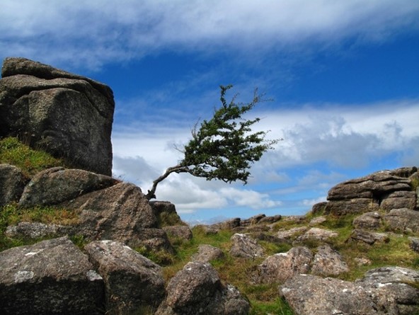 A little bit of creative&nbsp;writing.