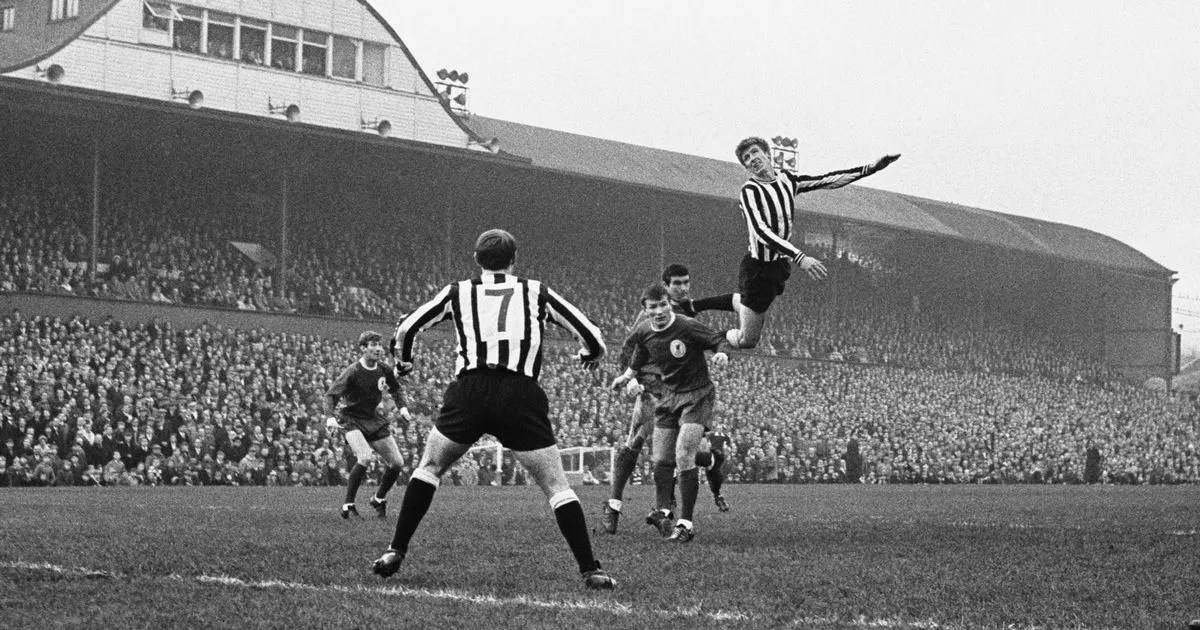 Gallowgate Cult Heroes Number 15, Wyn&nbsp;Davies.