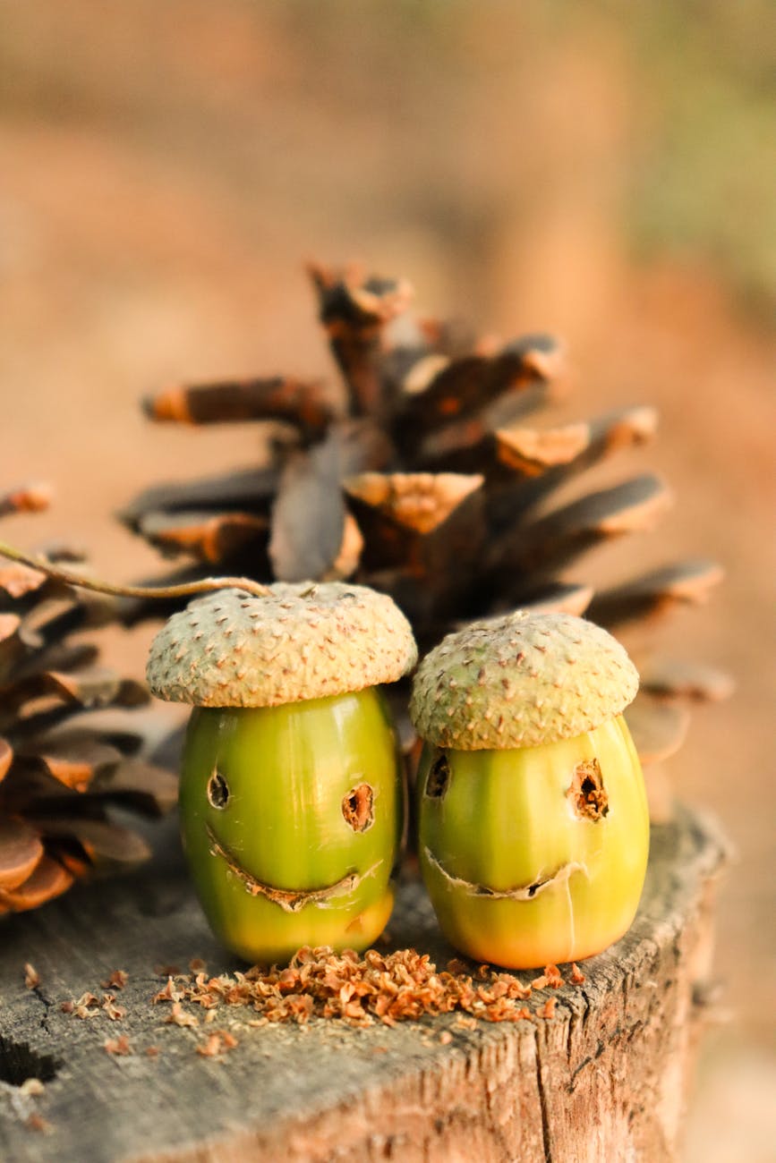 Always Look on the Bright Side; Things that made me smile in&nbsp;August.