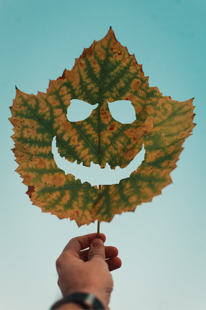 Always Look on The Bright Side; Five Things That Made Me Smile in&nbsp;September.